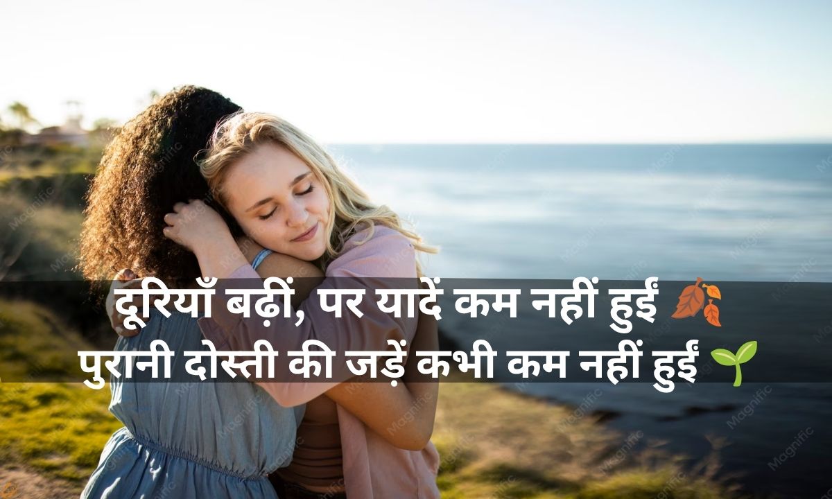 Emotional Old Friends Shayari