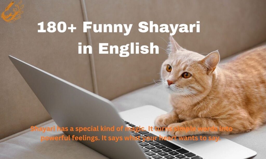 Funny Shayari in English