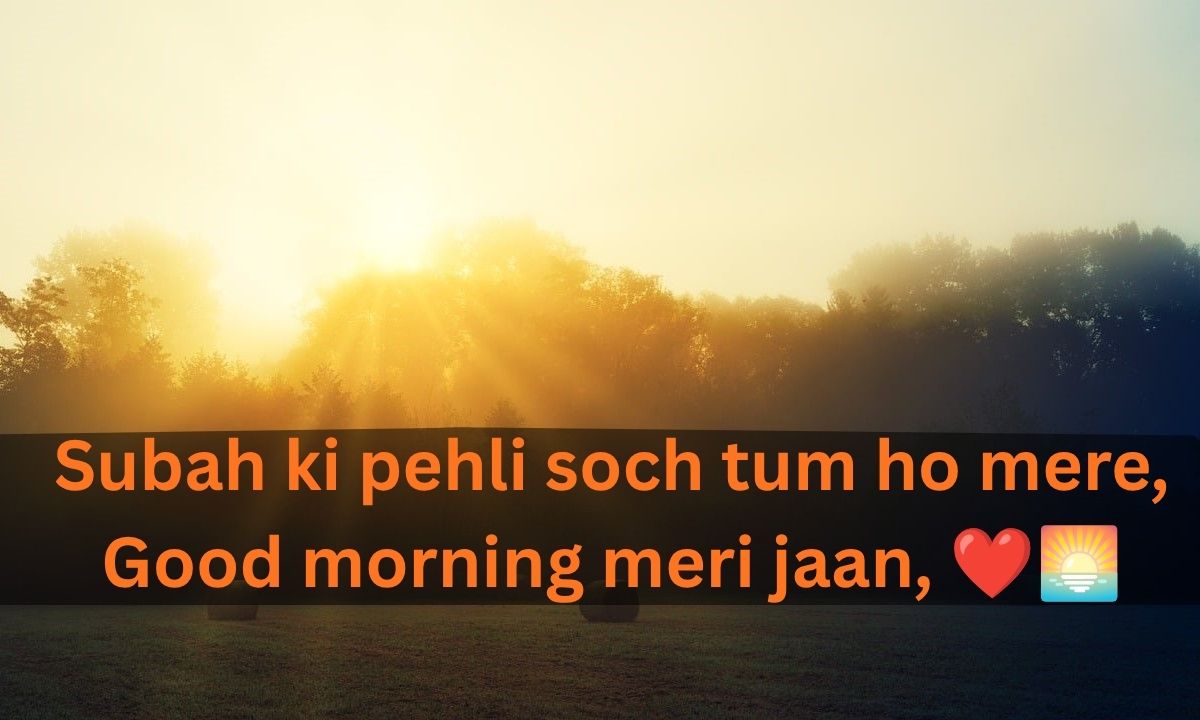 Good Morning Love Shayari