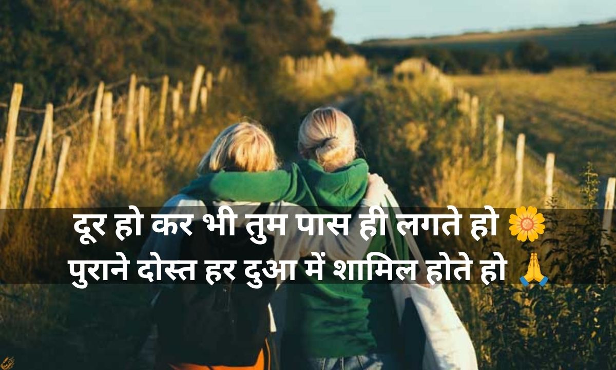 Old Friends Shayari