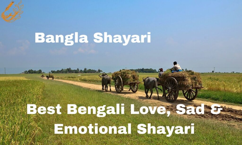 Bangla Shayari