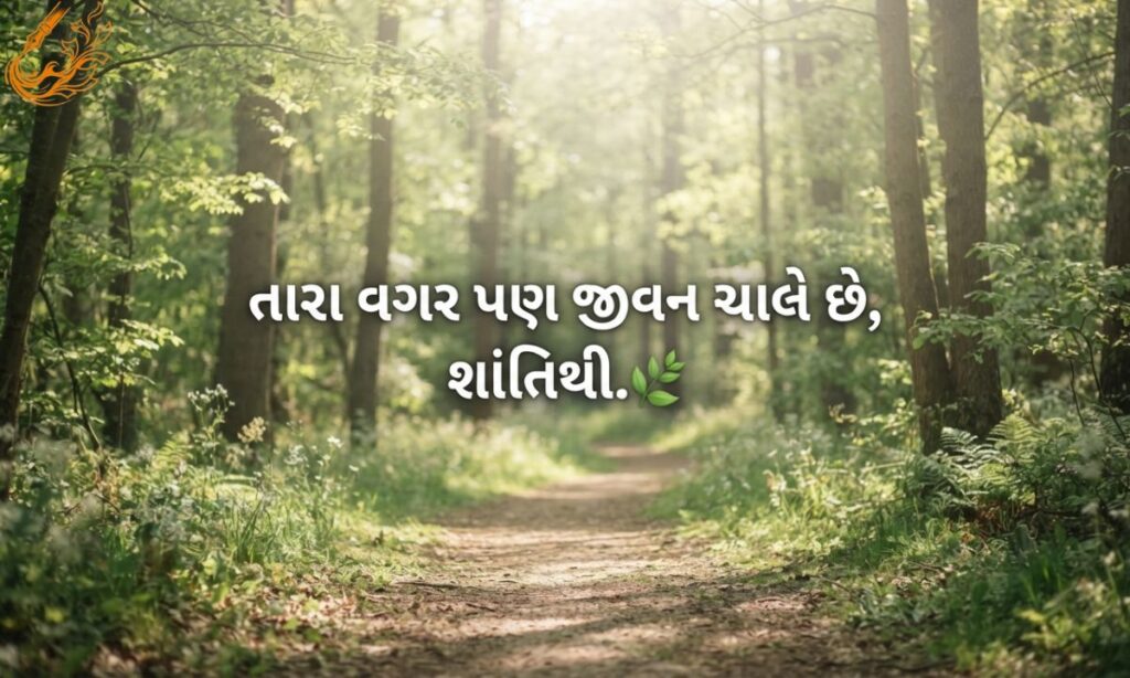 Bewafa Shayari Bio in Gujarati