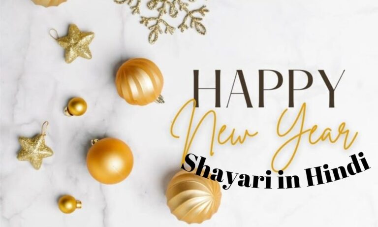 Happy New Year Shayari in Hindi